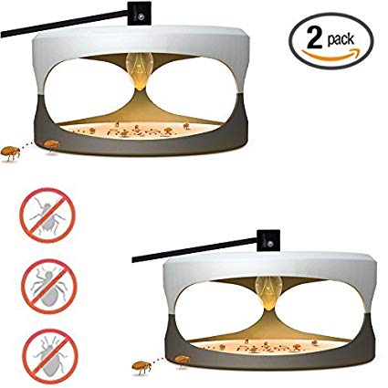 Flea Trap Indoor Plug-in Flea Trap with Light and Heat Attracter (Includes 2-Adhesive Glue-Boards) / Get Rid of All Fleas, Bed Bugs, Flies, Etc. - For Residential and Commercial Use