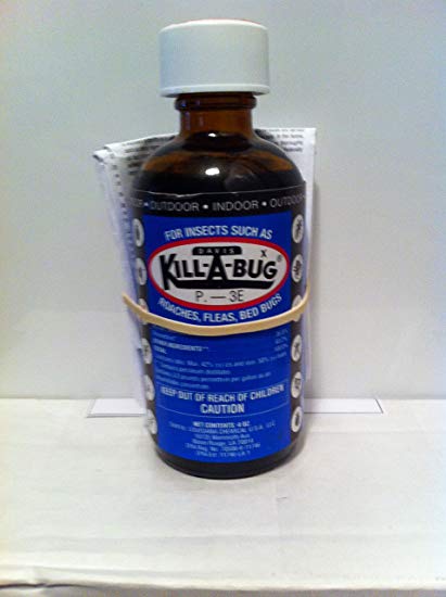 Kill-A-Bug Indoor/Outdoor spray for roaches, bedbugs, fleas, insects