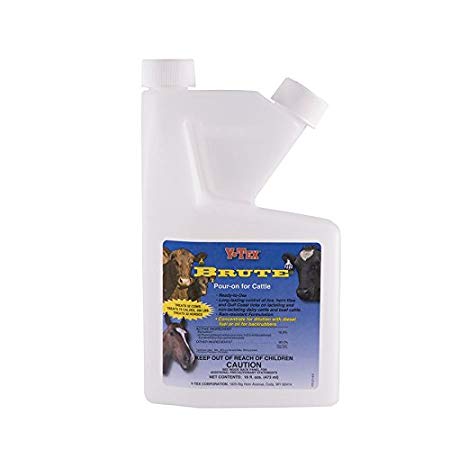 Y-TEX CORPORATION 812000 16 oz Brute Insecticide