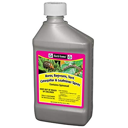 Voluntary Purchasing Group Fertilome 10082 Borer Bagworm, Tent Caterpillar And Leaf Miner Spray, 16-Ounce