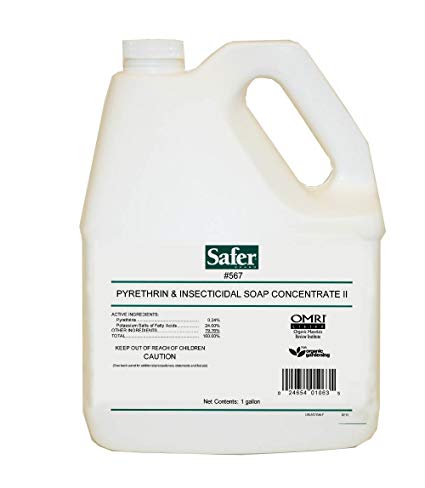 Safer Pyrethrin & Insecticidal Soap Concentrate, 1 gallon