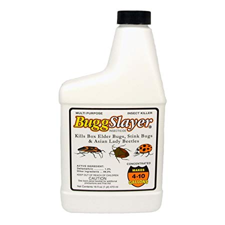 BUGGSLAYER BEB/MALB 16OZ, by BUGGSLAYER MfrPartNo 40001