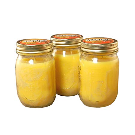 CC Home Furnishings Pack of 3 Skeeter Beater Yellow Outdoor Patio Garden Citronella Candles in Mason Jars